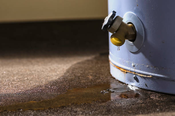 Best Water damage restoration near me  in , GA