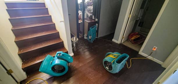 Best Flood restoration services  in , GA