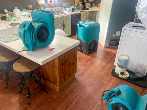 Best Water damage restoration process  in , GA