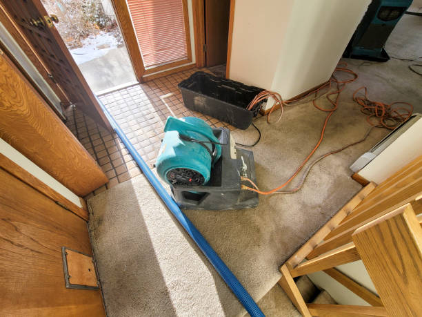 Best Local water damage restoration  in , GA