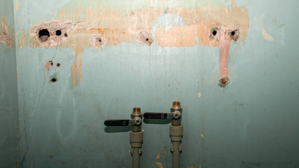Best Water damage restoration near me  in , GA