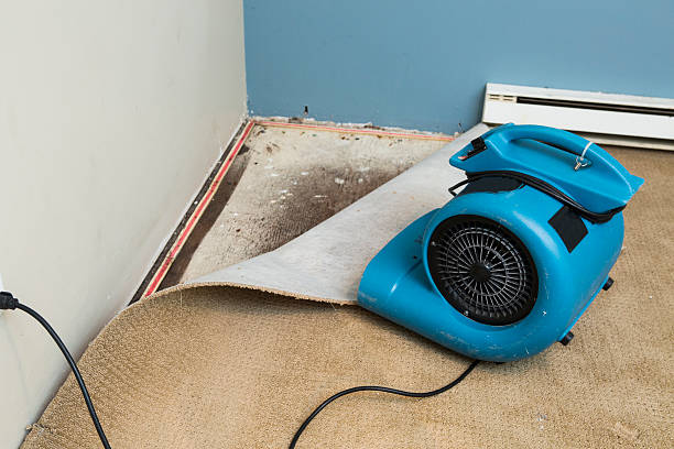 Best Flood damage cleanup  in , GA